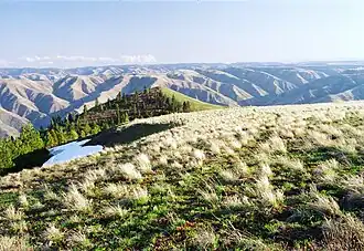 Landscape