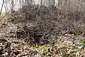 Shaft No. III and its slag heap.