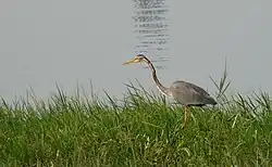 Sulur Lake
