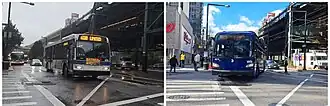 Q69 and Q100 buses
