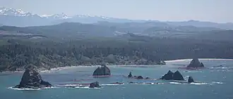 Quillayute Needles