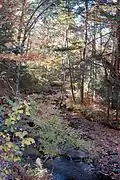 The headwaters of the Quinapoxet River
