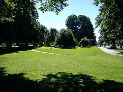 The lawn