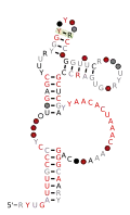RAGATH-13 Secondary structure taken from the Rfam database. Family RF02688