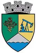 Coat of arms of Ianca