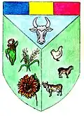 Coat of arms of Brăești