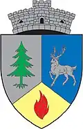 Coat of arms of Lopătari