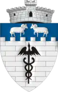 Coat of arms of Cerașu