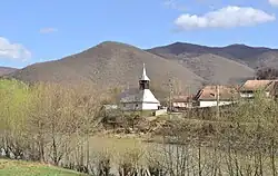 Buru