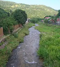 Valea Ierii