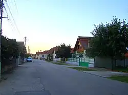 Băcia