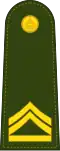 Master Sergeant 2nd Class