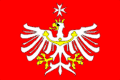 Flag of Radomyšl
