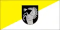 Flag of Radviliškis District Municipality