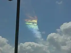 Photographed near Kennedy Space Center, Florida