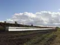 Raised Line by Maurice McDonagh