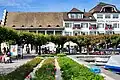 Hotel Schwanen rose plants at the harbour area next to the Zürichsee-Schifffahrtsgesellschaft landing gate