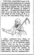 Roman fork-hoe, called a "Raster"