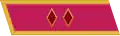 Jacket collar patch and Gymnastyorka