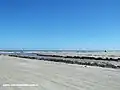 Beach area