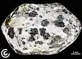 Ribbeck Meteorite with atypical coloration, Individual (Dalmatian Stone, Sample F69)
