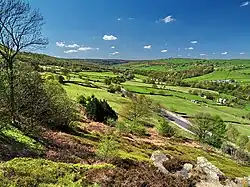 Rivelin Valley