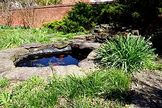 A small pond.