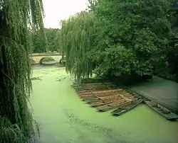 A view of the River Cam near Trinity College