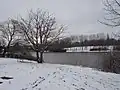 Wintry scene, near Newport. Snow here is fairly unusual.