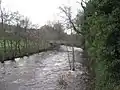 River Nidd at Glasshouses