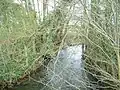 River Riccal near Harome