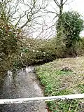 River Ter near Willows Green