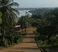 Hillside view