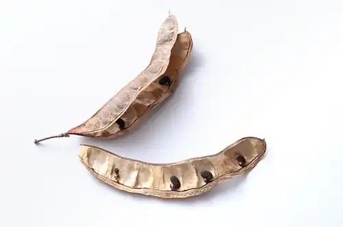 Fruit with seeds