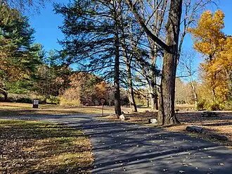 Roadway
