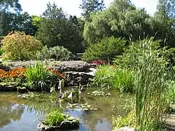 Rock Gardens