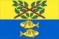 Flag of Rokytno