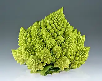 Romanesco broccoli