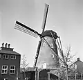 The mill and its surrounding buildings