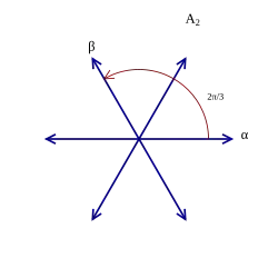 Root system A2
