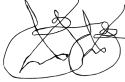 Rostom's signature
