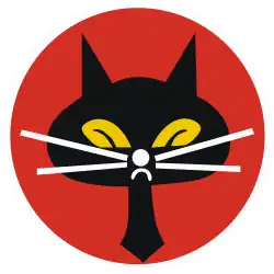 35th Squadron, "Black Cat"