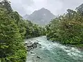 The Route Burn seen near Routeburn Shelter