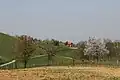 Rovni - panorama