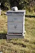 Beehive between Hospitalet and Lardiers