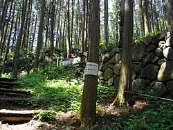 Karasuyama Castle Site