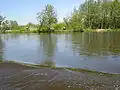 Anglers on Rusnė island