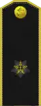 Kontr-admiral (Turkmen Naval Forces)[50]