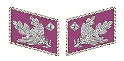 SA Gorget patches