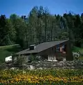 Two single-family houses in St. Gallenkappel 1974